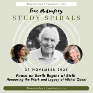 Carrying the Thread: A Soft Tribute to Michel Odent